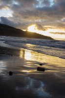 #4 Bridal Veil Falls, Fish&Chips, Ngarunui Beach