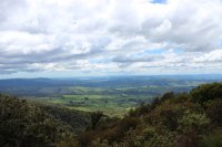 #4 Bridal Veil Falls, Fish&Chips, Ngarunui Beach