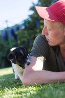 #5 Welpen und Bullen in Waipawa