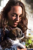 #5 Welpen und Bullen in Waipawa