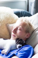 #5 Welpen und Bullen in Waipawa