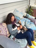 #5 Welpen und Bullen in Waipawa