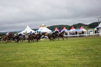 #7 Pferdewetten am Nikolaustag