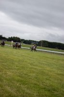 #7 Pferdewetten am Nikolaustag