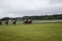 #7 Pferdewetten am Nikolaustag