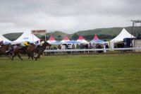 #7 Pferdewetten am Nikolaustag