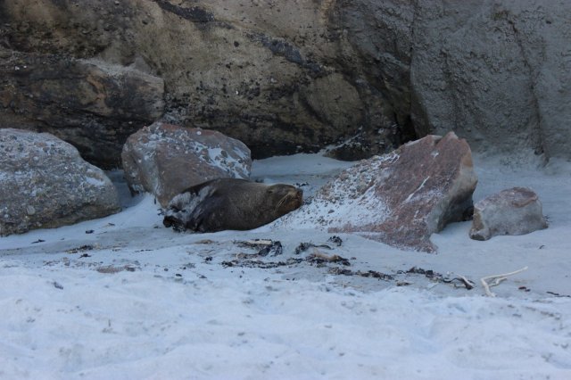 #8 Von Norden nach Süden