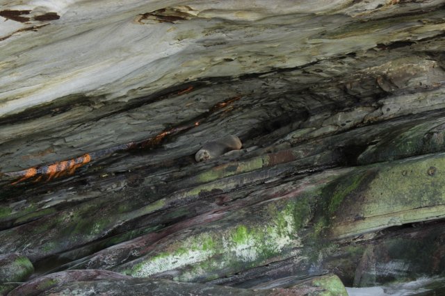 #8 Von Norden nach Süden