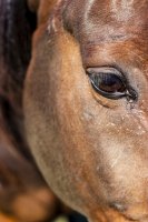 #10 Berge, Seen und Städte