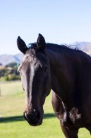 #10 Berge, Seen und Städte