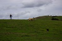 #10 Berge, Seen und Städte